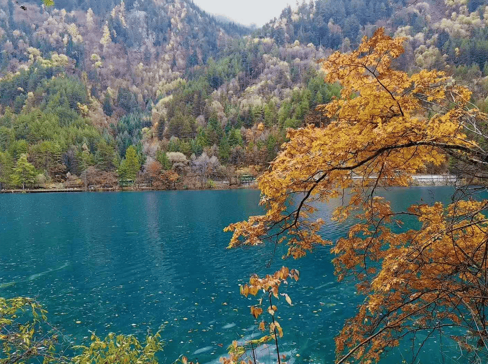 圖片關鍵詞 圖片關鍵詞