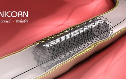 Solution for thickness measurement of drug coatings on cardiac stents